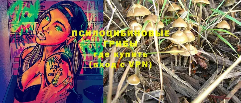 закладки  блэк спрут вход  Галлюциногенные грибы Magic Shrooms  Котово 